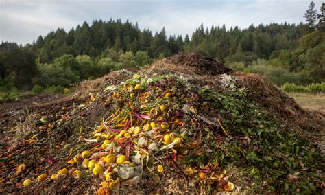 best compost seller in fresno area or clvis area